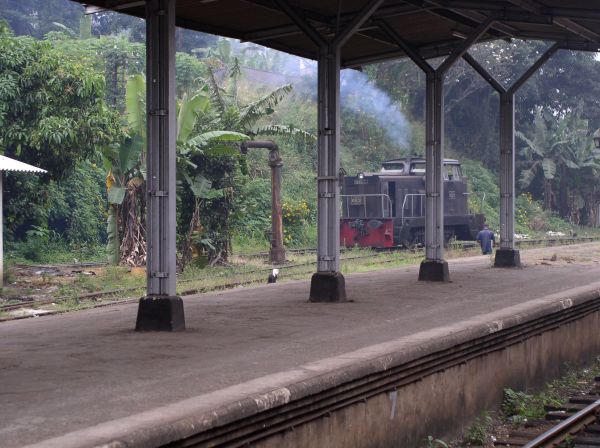 Kandy  